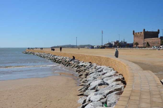 Full Day Trip From Marrakech To Essaouira - Customer Feedback and Ratings