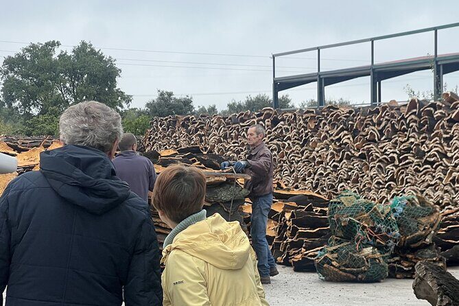 Full-day Trip in Evora, Winery & Cork Factory Private Transport - Logistics, Price, and Overall Value