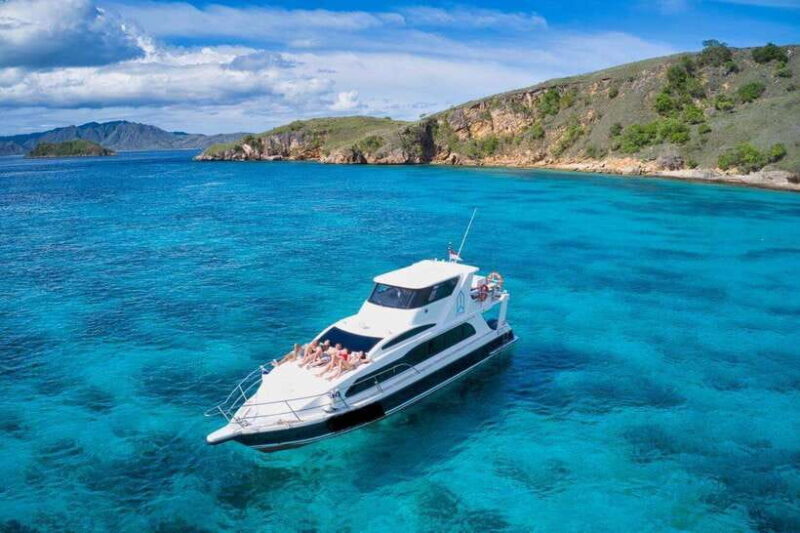 Full-Day Trip: Padar Island, Pink Beach Komodo & Manta Point - Authentic Reviews and Highlights