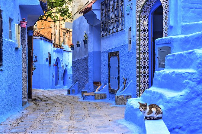 Full-Day Trip to Chefchaouen From Tangier - Trip Overview