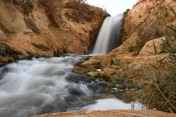Full Day Trip to El-Fayoum Oasis & Wadi El-Hitan From Cairo - Tour Guide Experiences