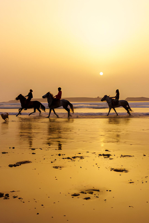 Full-Day Trip To Essaouira From Marrakech Guided City Tour - Good To Know