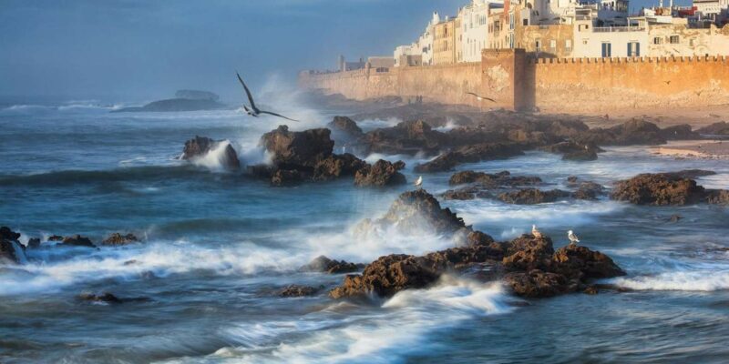 Full-Day Trip To Essaouira From Marrakech Guided City Tour - Highlights of the Trip