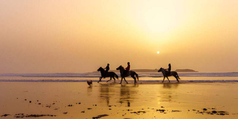 Full-Day Trip To Essaouira From Marrakech Guided City Tour - Important Information