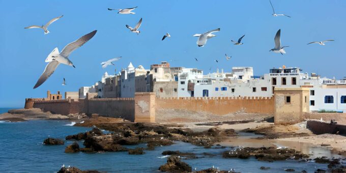 Full-Day Trip To Essaouira From Marrakech Guided City Tour - Exploring Essaouiras Medina and Port