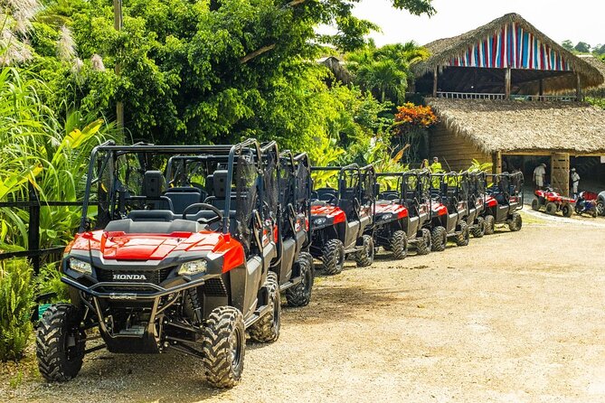 Full-Day Triple Adventure Guided Tour To Bayahibe - Key Points