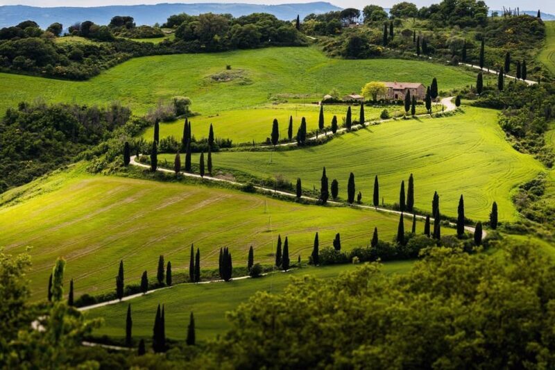 Full Day Tuscan Tour: Pisa,Lucca,Chianti Winery meal/tasting - Why Choose This Tour?