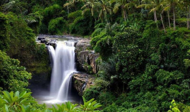Full-Day Ubud Tours All Inclusive - Deep Dive into the Experience