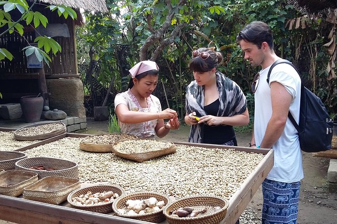 Full-Day Ubud Village Including Mt Batur Tirta Empul and Sightseeing Tour - Customer Reviews