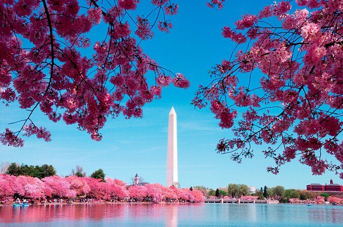 Full Day US Capitol Visit with Cherry Blossom & Potomac Cruise - FAQs