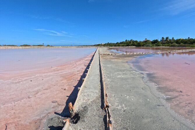 Full Day Vamos Pa la Isla Southwest Experience - An In-Depth Look at the Itinerary