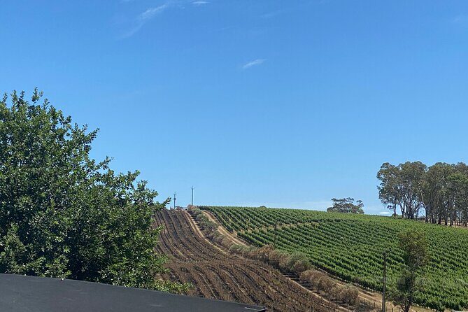 Full-Day VIP Hahndorf and McLaren Vale Private Car Tour - Key Points  