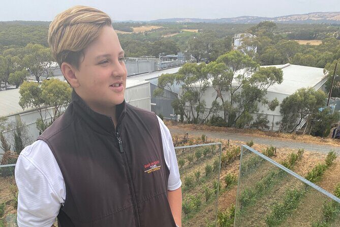 Full-Day VIP Hahndorf and McLaren Vale Private Car Tour - Authentic Experiences and Genuine Value  