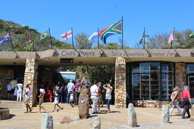 Full Day Visit to Cape Point Cape of Good Hope for Special Needs From Cape Town - Highlights of the Experience