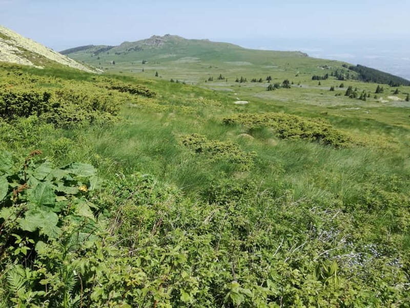 Full-Day Vitosha and Cherni Vruh Peak Hiking Tour - Frequently Asked Questions