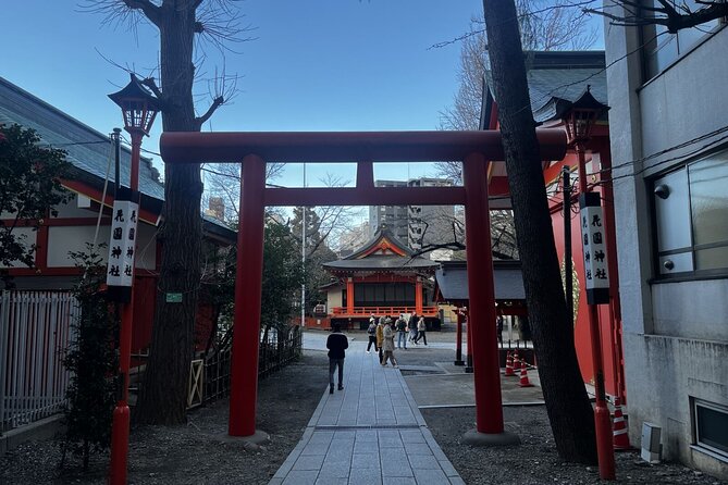 Full Day Walking Tour in Shinjuku and Shibuya - Harajuku and Shibuya