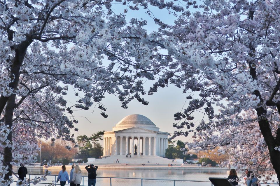 Full Day Washington DC Tour From New York City - Included Services