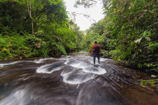 Full-Day | Waterfalls and Caverns Tour - Inclusions