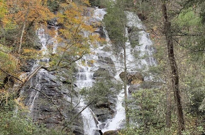 Full Day Waterfalls Tour in North Georgia with Scenic Hikes - The Sum Up