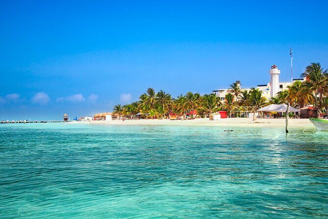 Full-Day Whale Shark Snorkeling Adventure with Beach Lunch - Analyzing the Experience