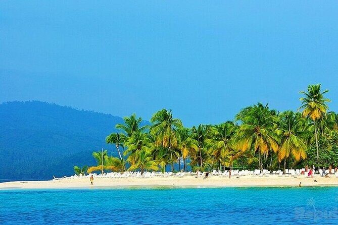 Full-day Whale watching Tour in Samana Bay from Punta Cana - Who is this tour best for?