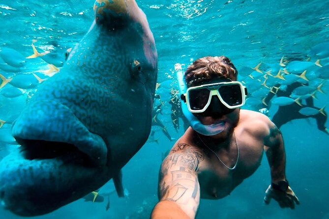 Full-Day Whitsunday Sail and Snorkel Adventure With Lunch - Meeting Location