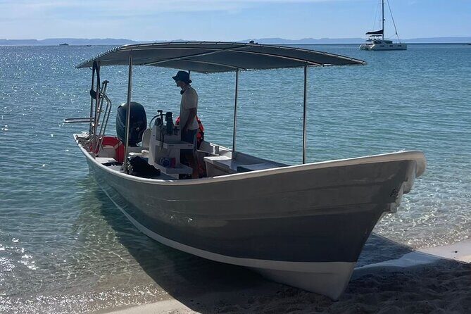 Full Day Wildlife Expedition in the Sea of Cortez - Who Is This Tour Best For?