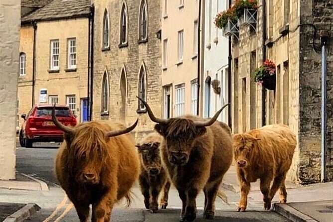 Full-Day Windsor Castle & Cotswolds Driving Tour - FAQ