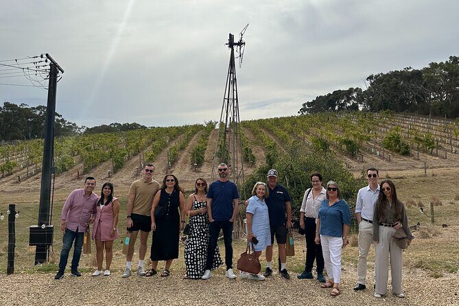 Full Day Wine Tasting Tour in McLaren Vale - Key Points