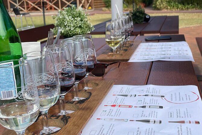 Full Day Wine Tasting Tour in McLaren Vale - Analyzing the Value