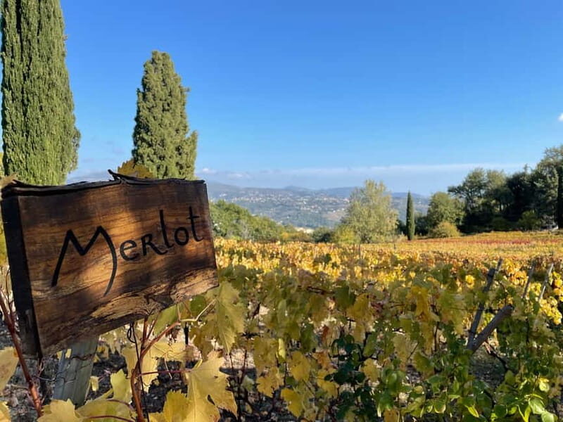 Full-Day Wine Tour in Bellet & Saint-Paul de Vence From Nice - Discover the Charm of French Riviera’s Bellet & Saint-Paul de Vence on a Full-Day Wine Tour