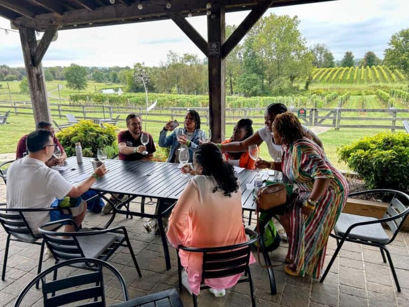 Full Day Winery Tour from Metro DC & Leesburg - 3 Wineries - Why Choose This Tour?