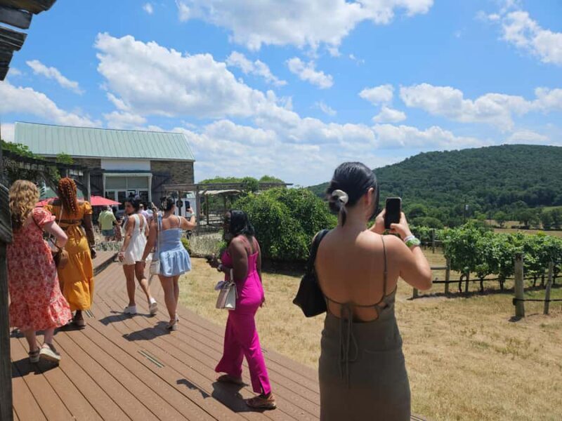 Full Day Winery Tour from Metro DC & Leesburg - 3 Wineries - FAQ