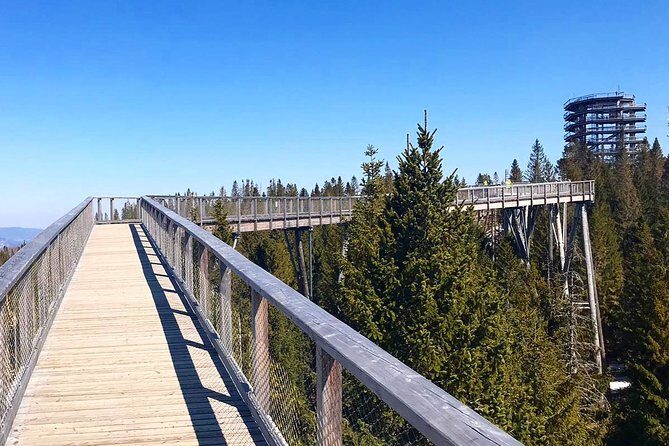 Full-Day Zakopane and Slovakia Treetop Walk From Krakow - Who Should Consider This Tour?