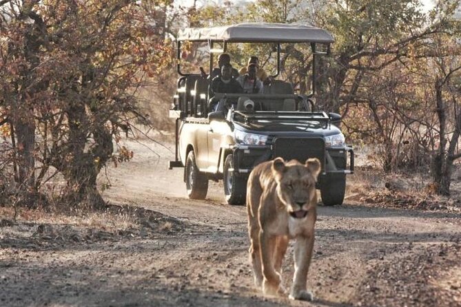 Full-Day Zimbabwe Zambezi National Park Safari & Lunch - Feedback and Highlights