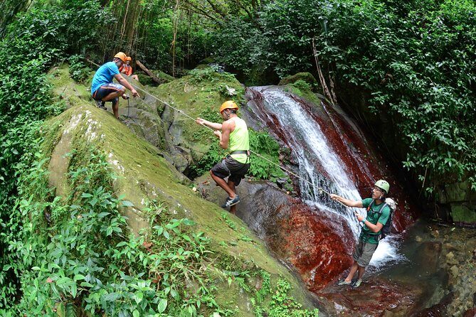 Full-Day Zipline and Waterfall Rappelling Adventure Near San Juan - Authentic Reviews: What Travelers Are Saying