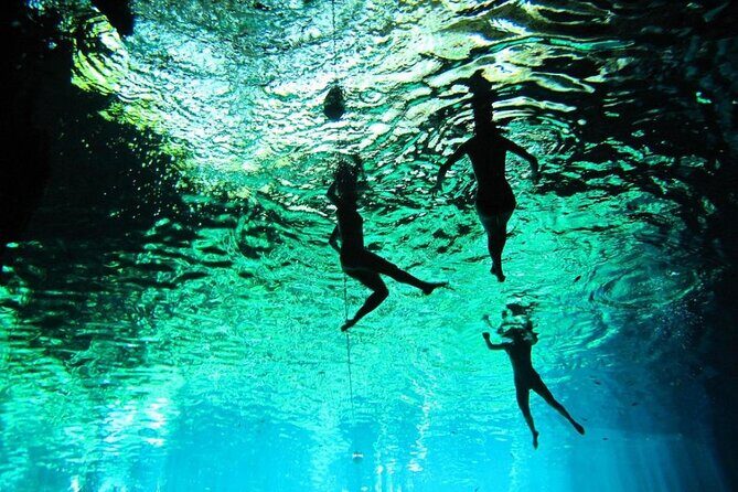 Full-dayTurtle Adventure: ATV, Zipline, Cenote & Turtle Swim - The Bottom Line