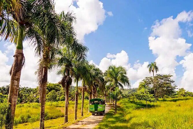 Full Dominican Adventure: Zipline, ATV Buggie, Horseback & Safari - An Overview of the Tour Experience