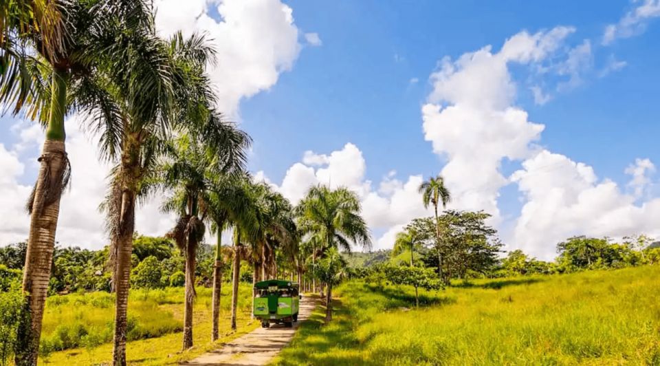Full Dominican Adventure: Zipline, ATV, Horseback & Safari - Exhilarating ATV Off-Roading