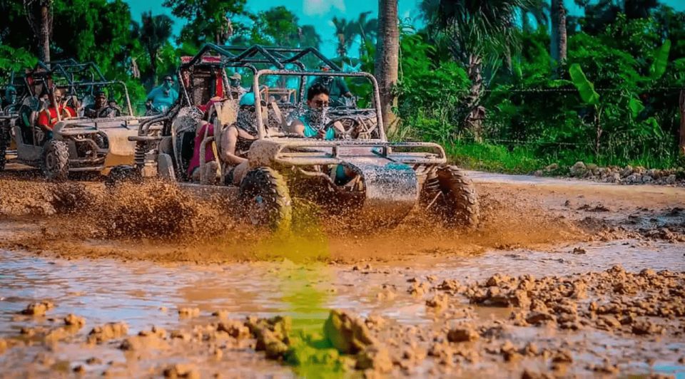 Full Dominican Adventure: Zipline, ATV, Horseback & Safari - Delectable Dominican Lunch