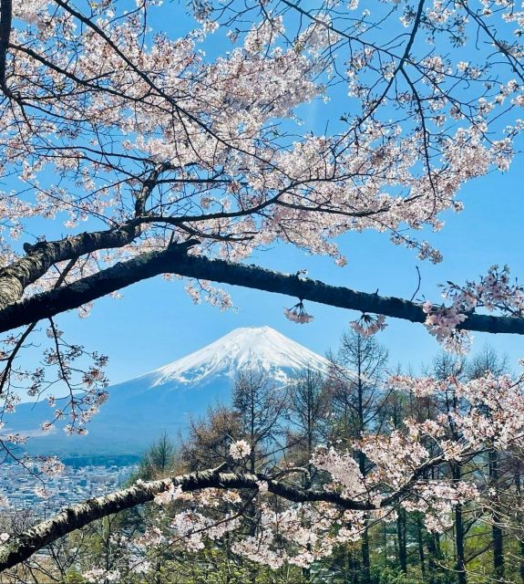 Full Guided One Day Trip for Mount Fuji Japan - Key Points