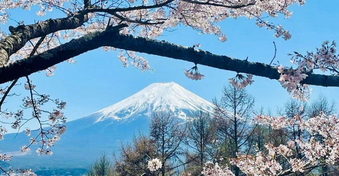 Full Guided One Day Trip for Mount Fuji Japan - Marveling at Lake Ashinokos Serenity
