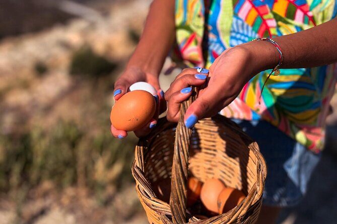 Full Haros Family Cooking Experience - A Deep Dive Into the Experience