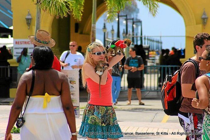 Full Island Panoramic Tour of St Kitts - A Complete Tour of St Kitts’ Highlights