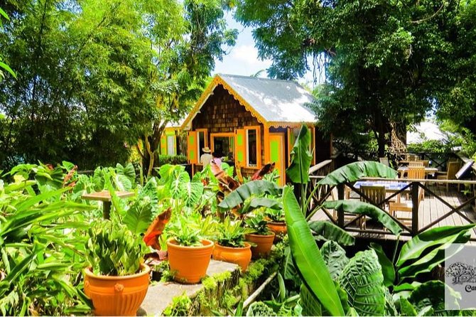Full Island Private Tour - Whats Included in the Tour