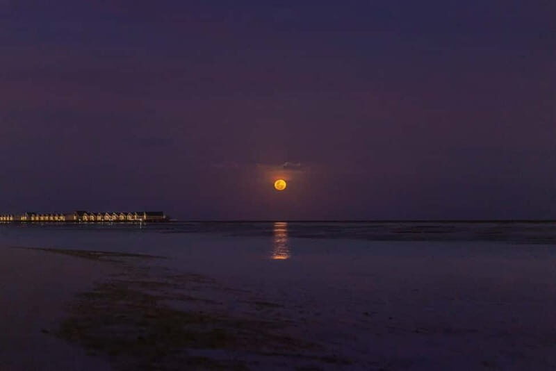 Full Moon Magic  2h Night Sailing in Sotogrande - A Night Beyond Imagination: The Full Moon Sailing Experience