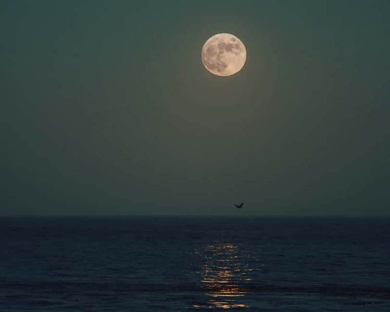 Full Moon Magic  2h Night Sailing in Sotogrande - FAQs