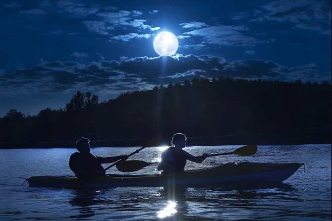 Full Moon Walking Tour in Auckland - What to Expect