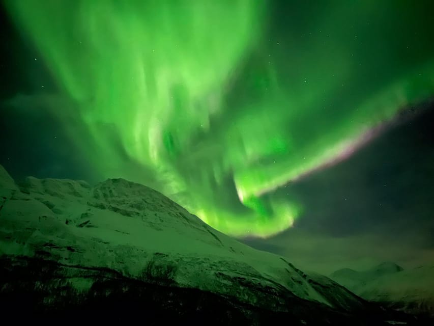 Full Night Magic of the Arctic Lights in Tromso - The Experience: Authenticity and Authentic Moments