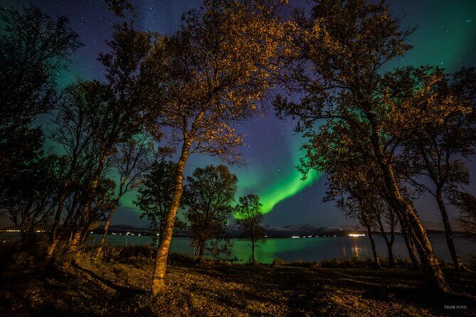 Full Night Magic of the Northern Lights in Tromso - Key Points